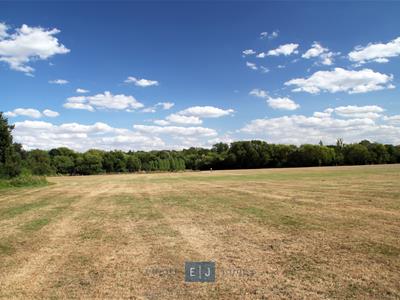 Picture 21